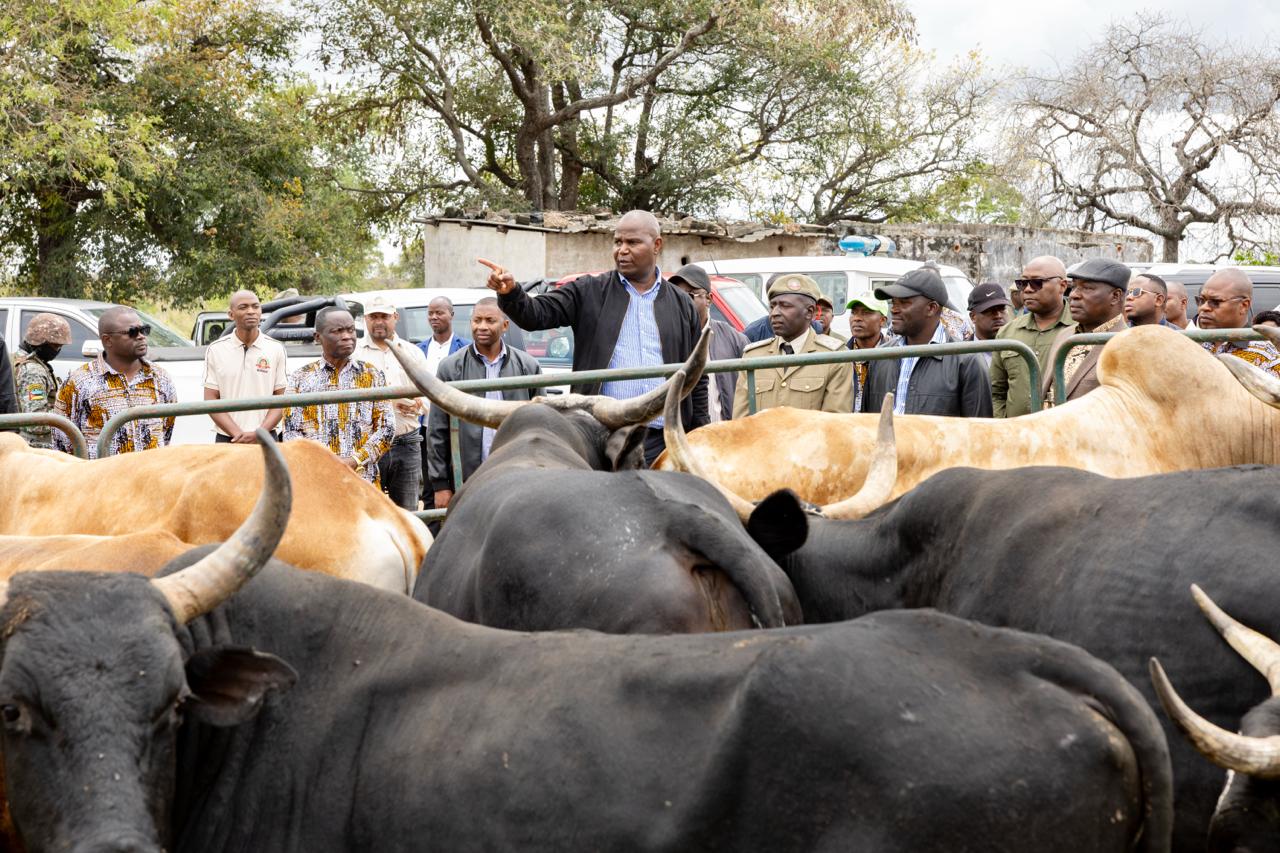 Presidente da República reforça resposta ao conflito homem-fauna bravia em Mabalane
