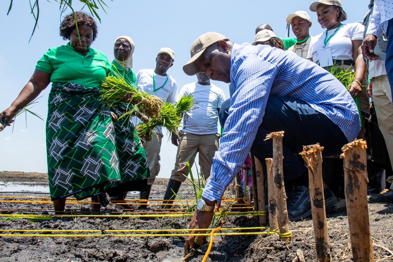 Moçambique Lança a Campanha Agrária 2025/2026 em Mafambisse